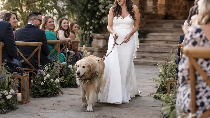 Pet at Wedding Ideas: 13 Roles + Logistics That Actually Work
