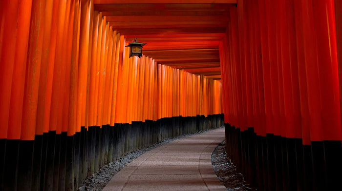 How to Navigate Japanese Airports: A Stress‑Free Guide for Tourists