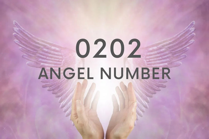 Angel Number 0202 Meaning