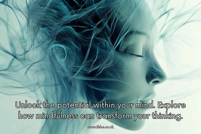 The Power of Mindfulness Meditation: How to Live in the Present